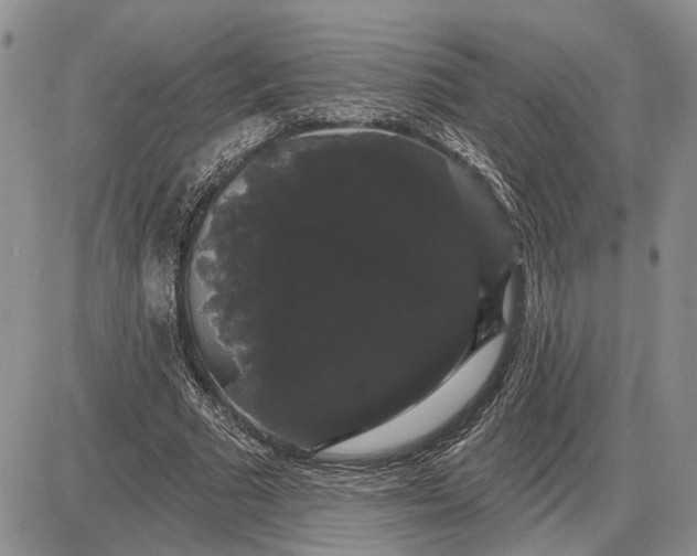 X0000085220681200703231533