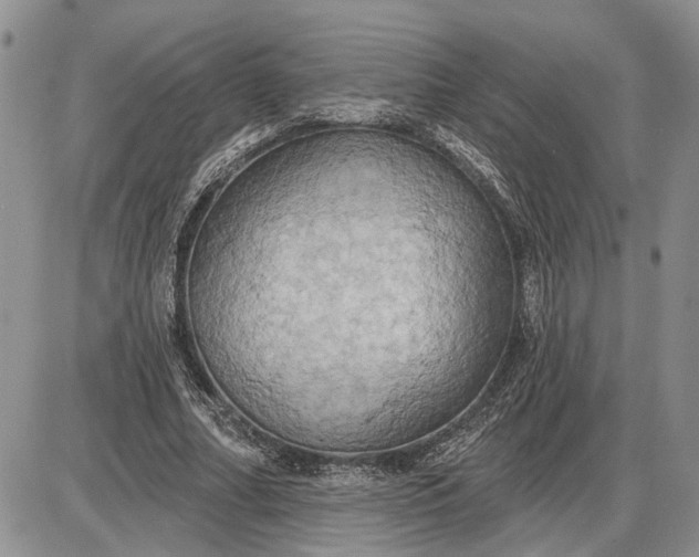 X0000085220682200703231533