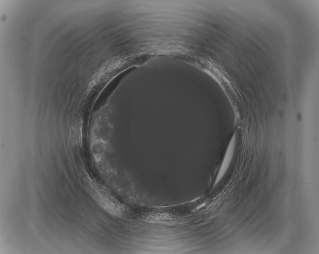 X0000085220685200703231533