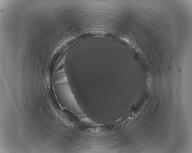 X0000085220688200703231533