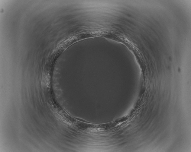 X0000085220689200703231533