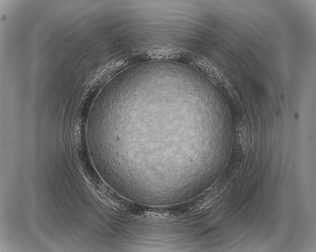 X0000085220690200703231533