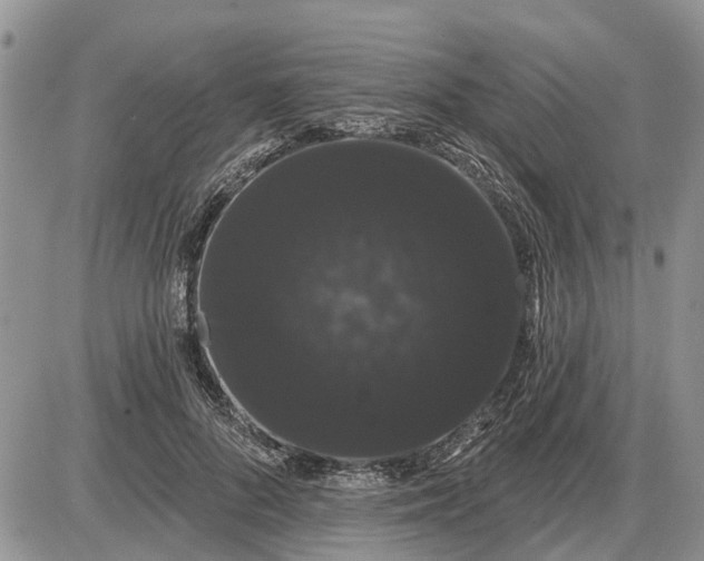 X0000085220696200703231533