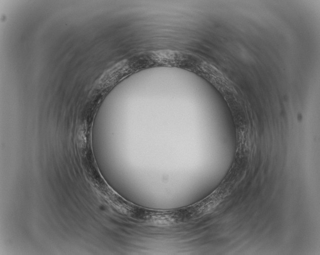 X0000085220702200703231533