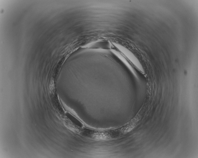 X0000085220704200703231533