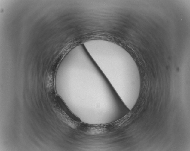 X0000085220708200703231533