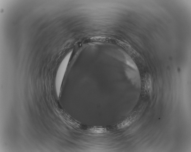 X0000085220711200703231533
