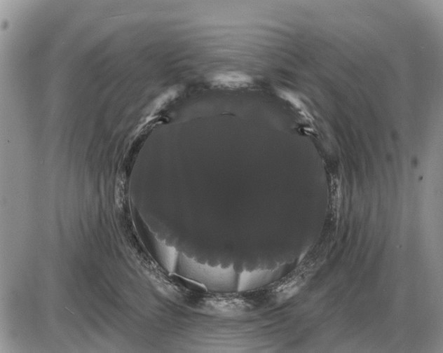 X0000085220712200703231533