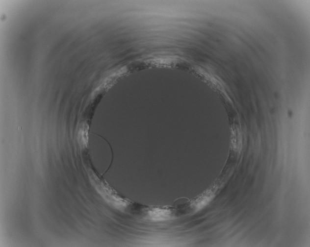 X0000085220718200703231532