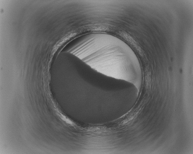X0000085220721200703231532