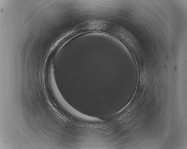 X0000085220722200703231532
