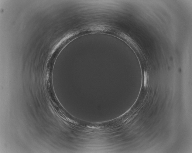 X0000085220723200703231532