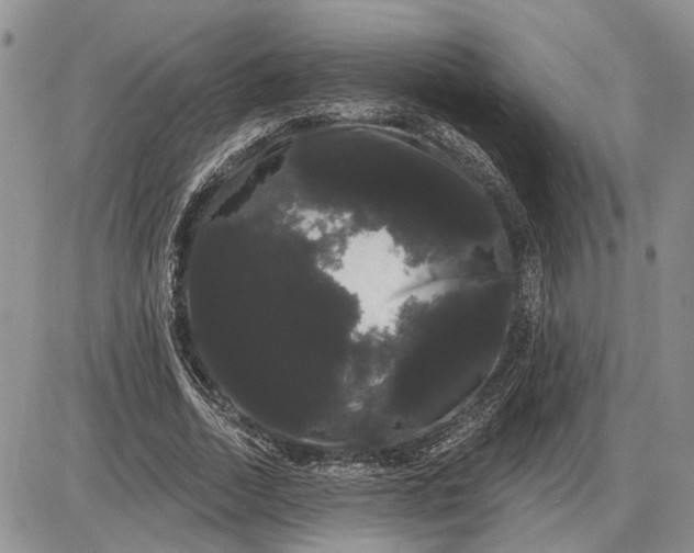 X0000085220730200703231532