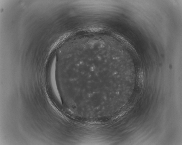 X0000085220734200703231532