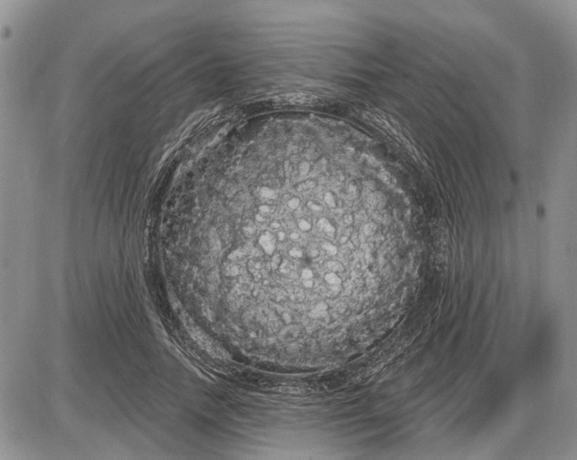 X0000085220738200703231532