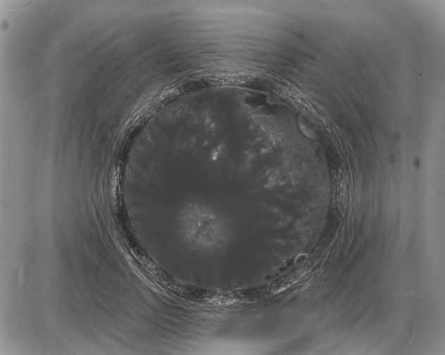 X0000085220742200703231532