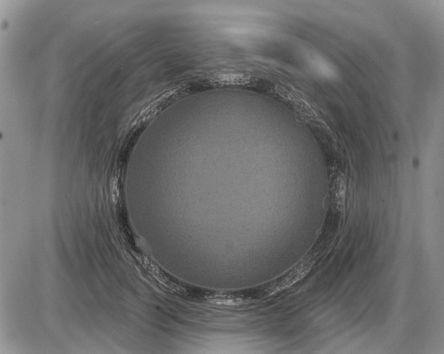 X0000085220746200703231532