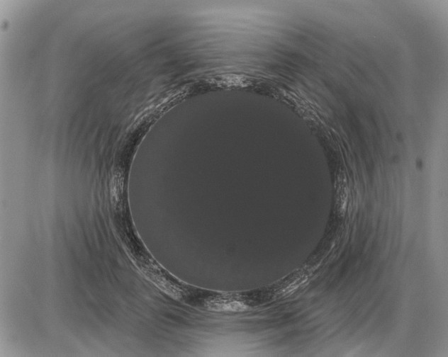 X0000085220747200703231532