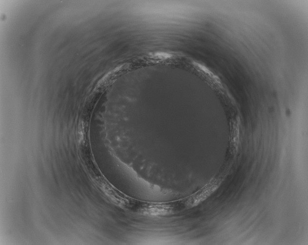 X0000085220758200703231532