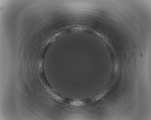 X0000085220759200703231532
