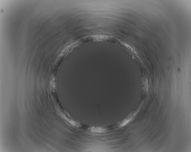 X0000085220766200703231532