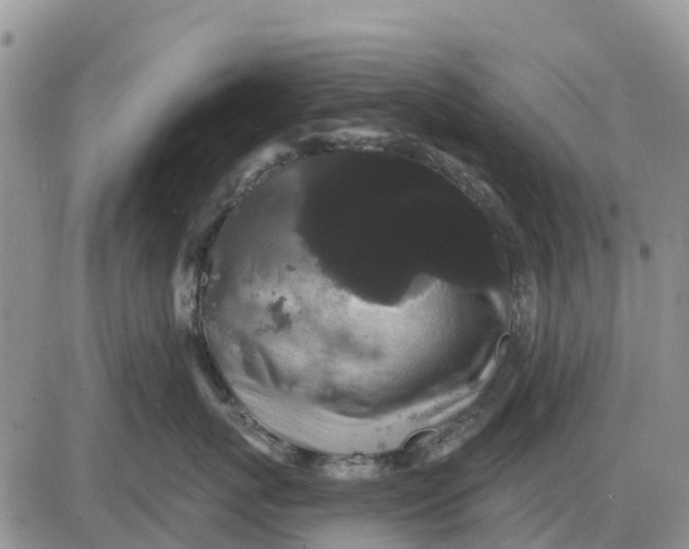 X0000085220767200703231532