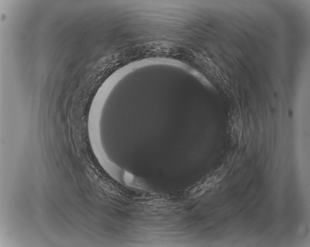 X0000085220769200703231532