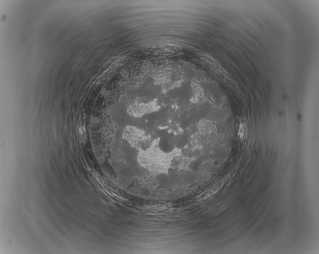 X0000085220771200703231532