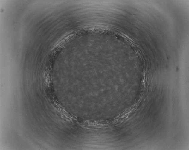 X0000085220774200703231531