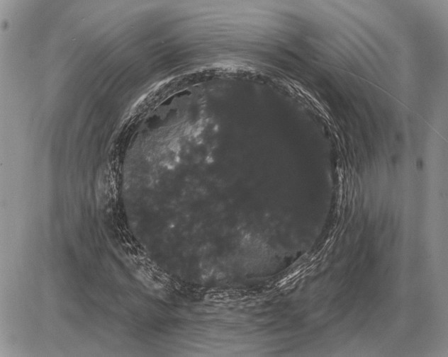 X0000085220776200703231531