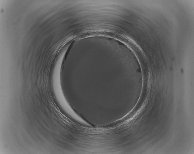 X0000085220777200703231531