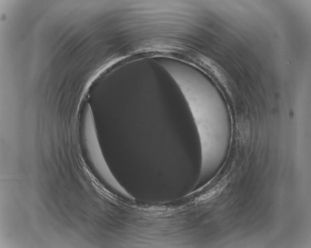 X0000085220779200703231531