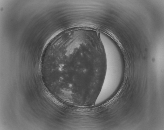 X0000085220780200703231531