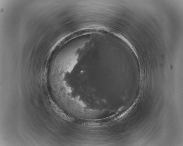 X0000085220783200703231531