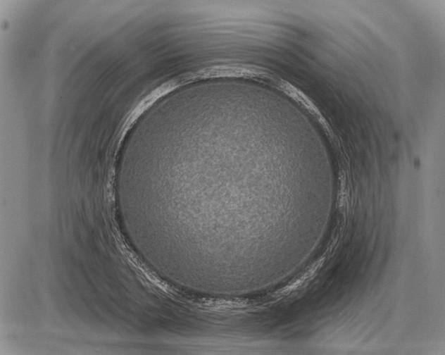 X0000085220786200703231531