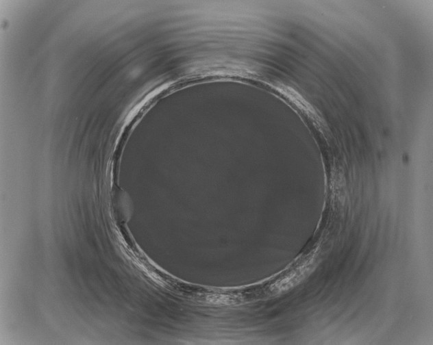 X0000085220790200703231531