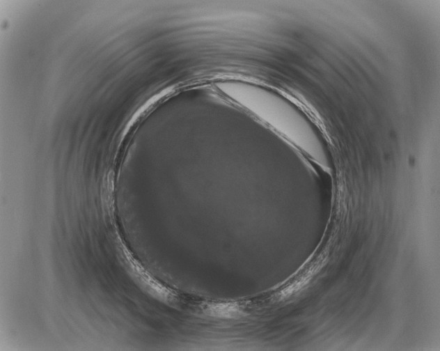 X0000085220798200703231531