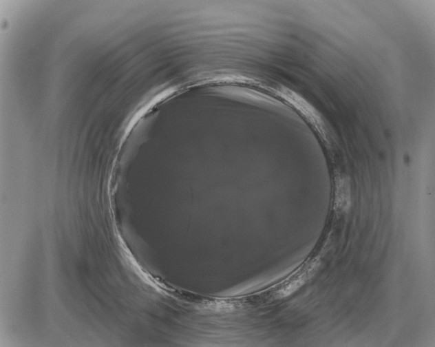 X0000085220806200703231531