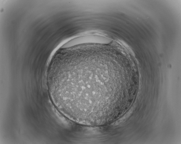 X0000085220816200703231531