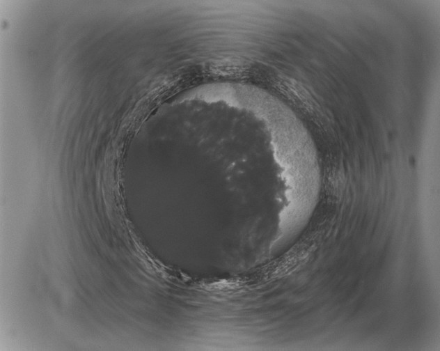 X0000085220817200703231530