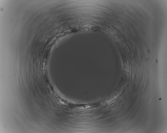 X0000085220818200703231530