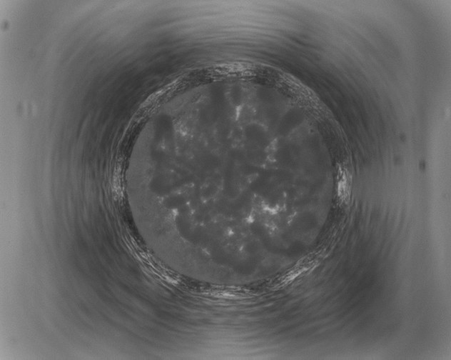 X0000085220819200703231530