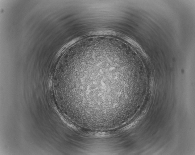 X0000085220841200703231530