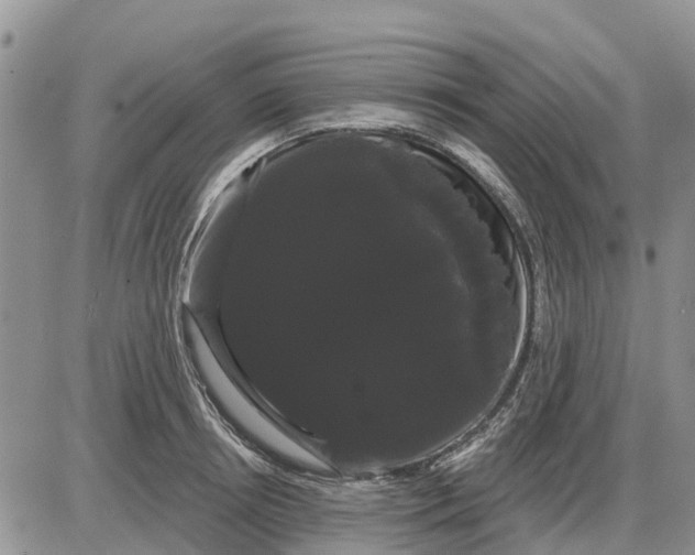 X0000085220850200703231531