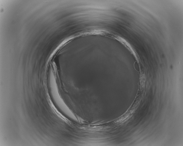 X0000085220851200703231531