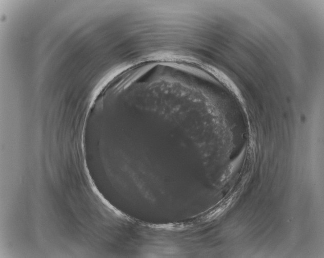 X0000085220855200703231531