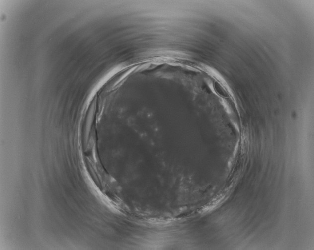 X0000085220859200703231531