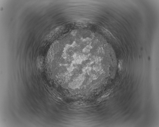 X0000085220867200703231530