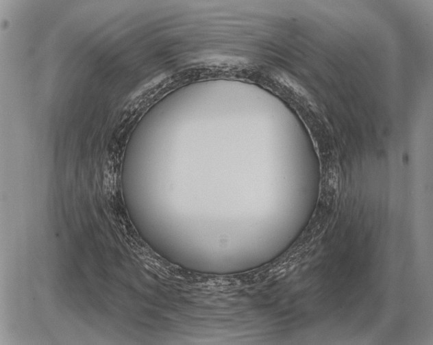 X0000085220869200703231530