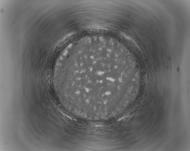 X0000085220870200703231530